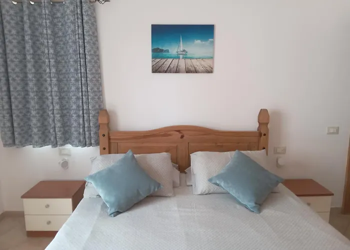 Oasis Palmeira