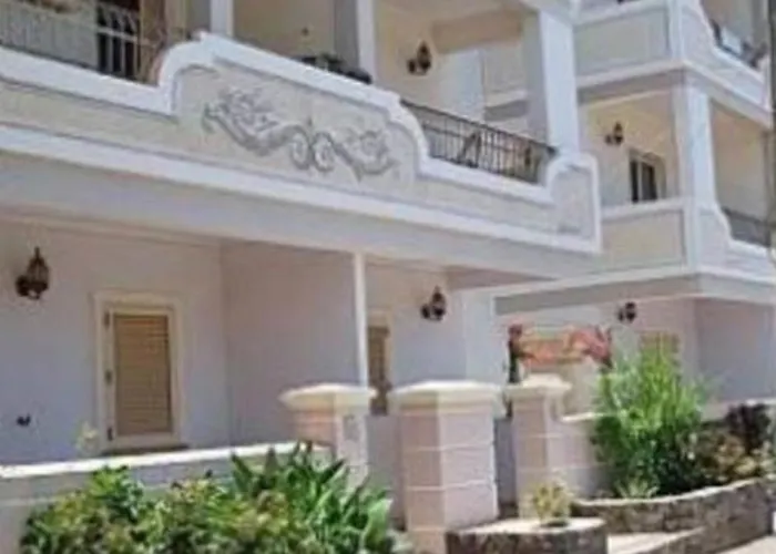 Oasis Palmeira